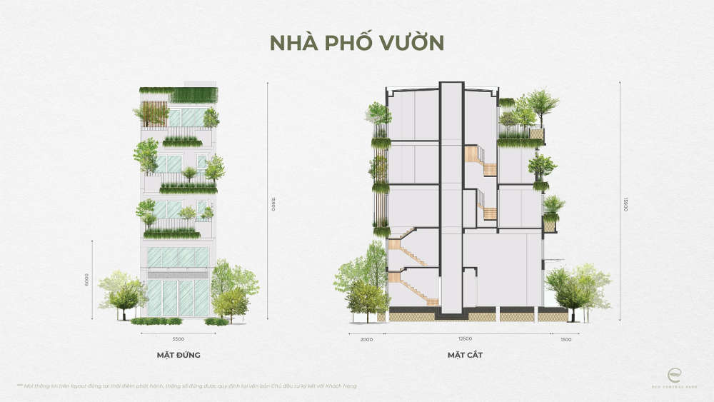 Mặt cắt Nhà phố vườn - Phân khu Plaza tại Ecopark Vinh