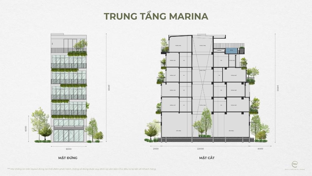 Mặt cắt Biệt thự đơn lập - Phân khu Plaza tại Ecopark Vinh