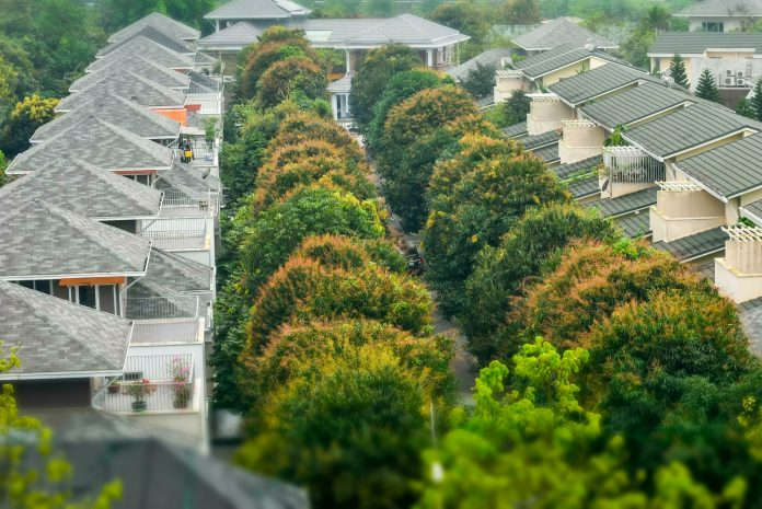 Vườn Tùng Ecopark