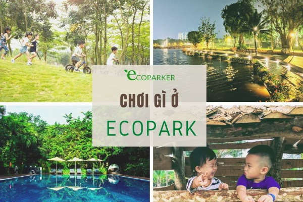 Chung cư Sky Oasis Ecopark