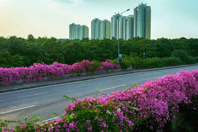 Đường đi đến Ecopark