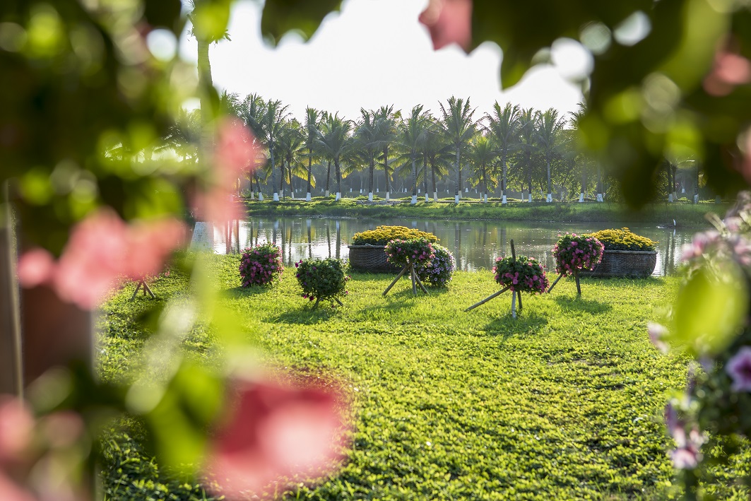 hoi-hoa-xuan-ecopark