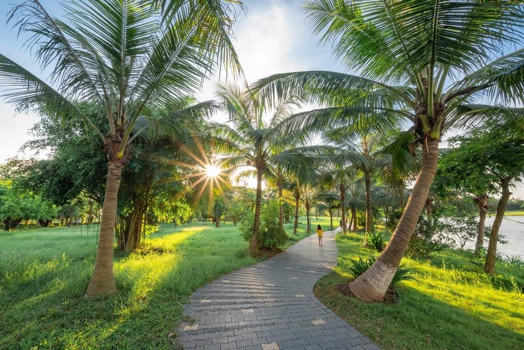 Vỉa hè ở Ecopark