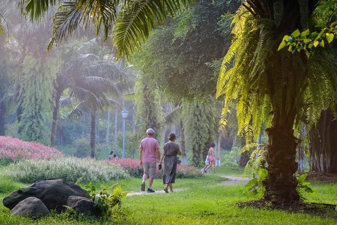 Vỉa hè ở Ecopark