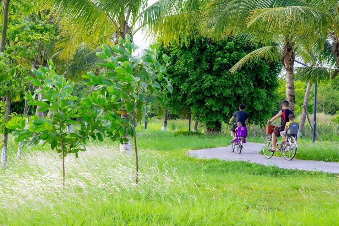 Vỉa hè ở Ecopark