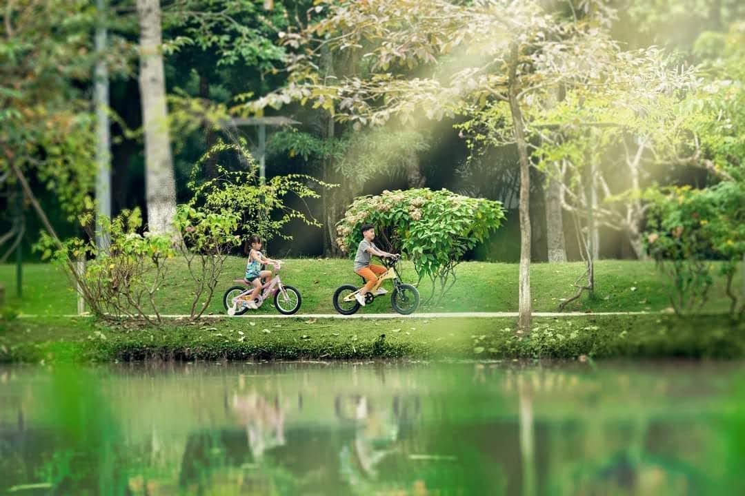 Vỉa hè ở Ecopark