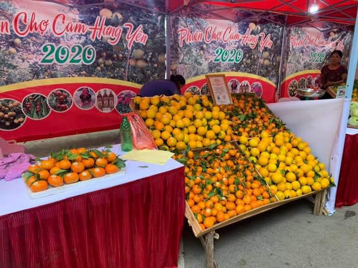 Hội chợ Cam Hưng Yên 2020