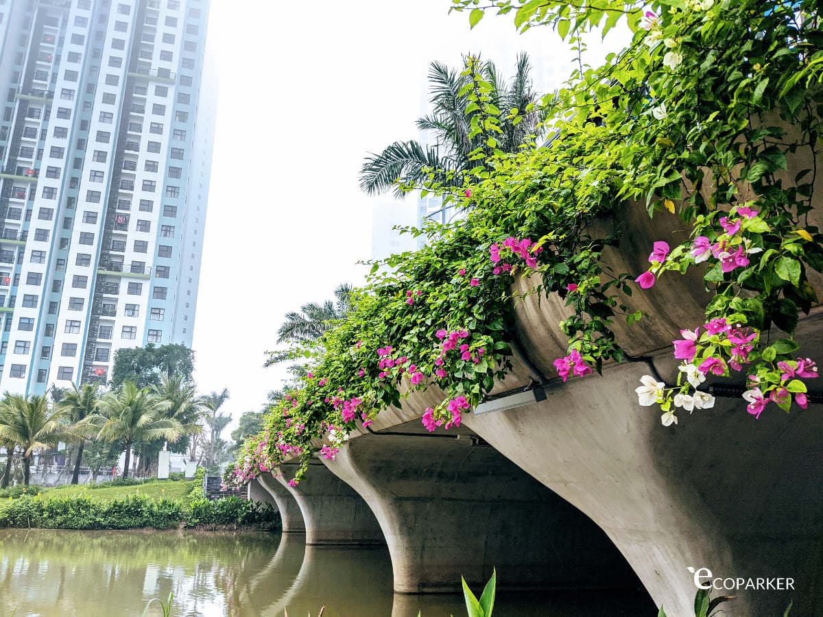 Ngày Tết Covid 2020 ở Ecopark