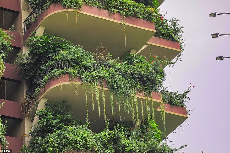 Vertical Forest tại Qiyi City Forest Garden